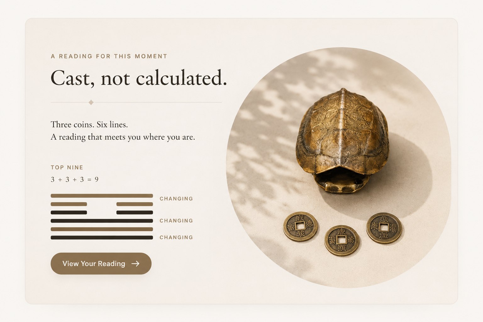 A bronze divination turtle beside three coins, with a cast hexagram of six changing lines